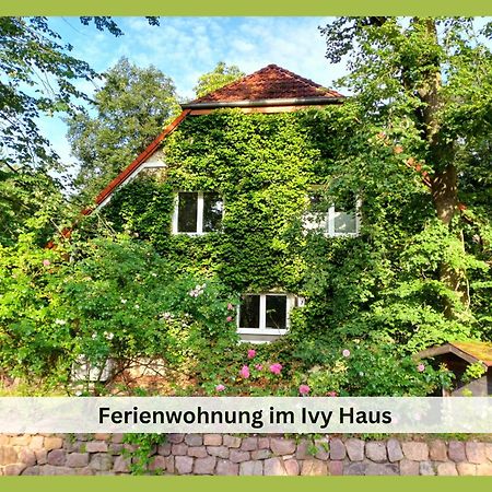 ファルケンゼーIvy Hausアパートメント エクステリア 写真